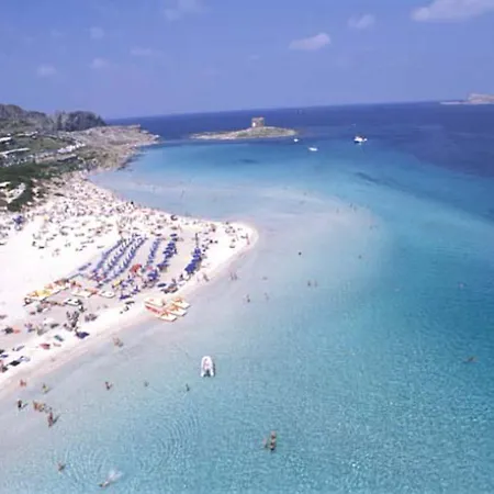 La Ginestra スティンティーノ