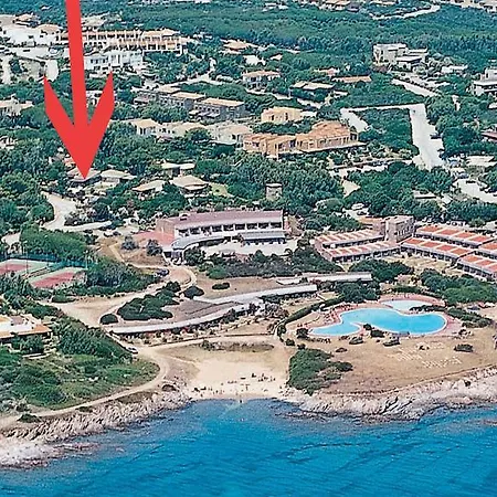 La Ginestra